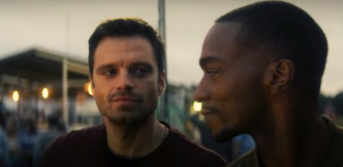 sambucky