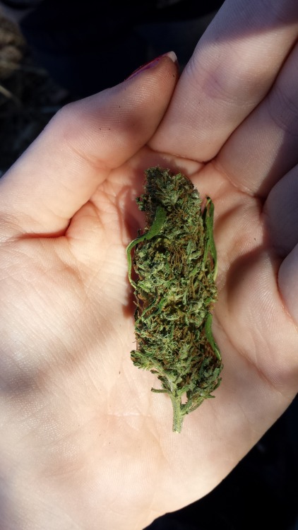 redkittymeow:  so i guess you can say today was pretty amazing. with fstop420