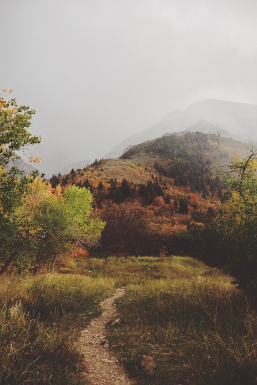 jordanison:  The Wasatch in full Fall regalia and a crown of fog.