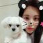 kpop-stan-in-pixelberry-world
