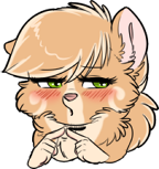 The Frequently asked pomeranian