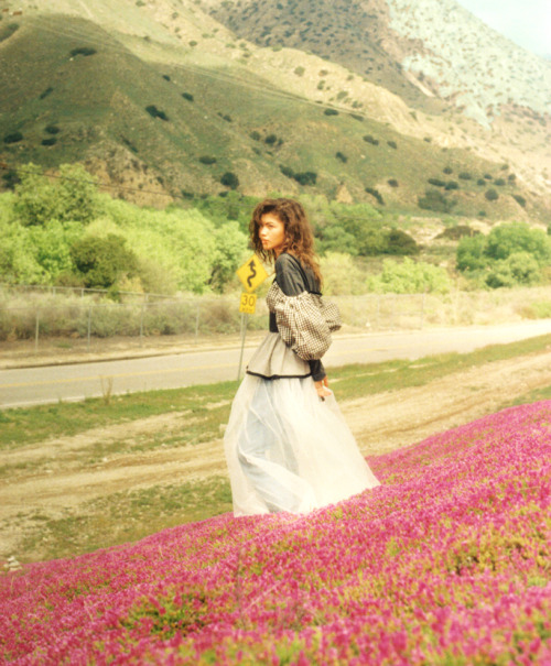 lesbianlightwood:zenvdaya:Zendaya’s for Wonderland Magazine by Petra Collins, June 2016.[Caption: 2 