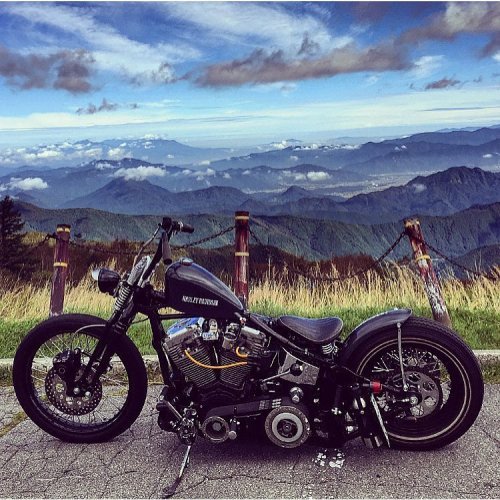 elegant-apparatus:Gorgeous Evo Softail by @e.v.o.matsu