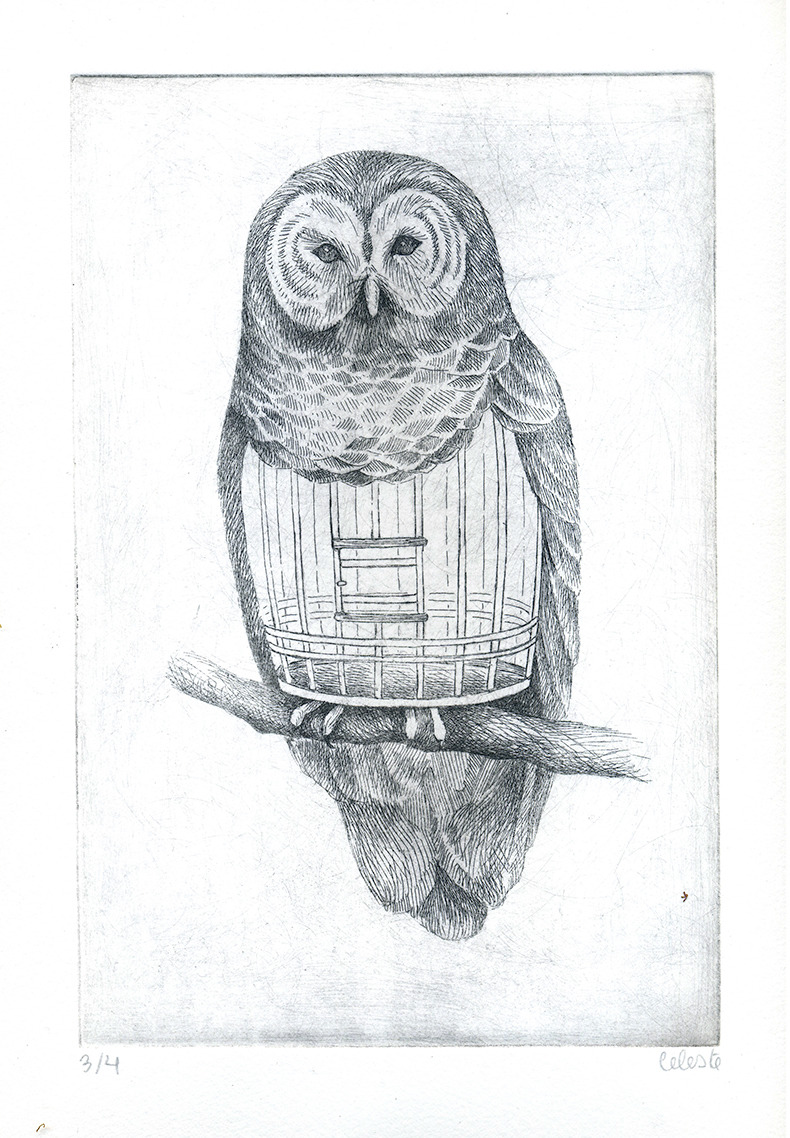 fer1972:  Bestiarium byCeleste Ciafarone