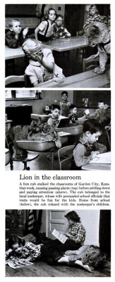 Lion In The Classroom, 1972.