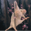 tokyobeanz