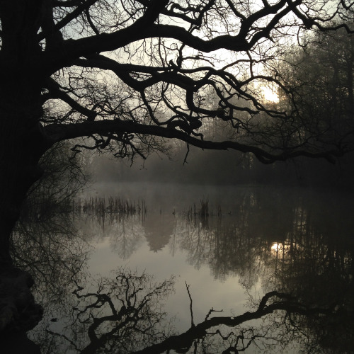thespectraldimension - Trent Park misty lake by spectrascopic.