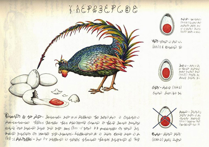 faunaleye:  From Codex Seraphinianus by Luigi Serafini (1981)  An illustrated encyclopedia of