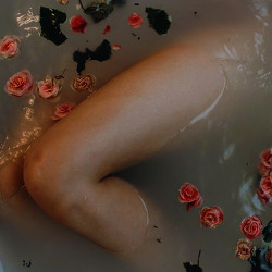 tumblr_onk9d0qX5l1s1bwvio4_250.jpg