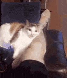 patrickstump381-blog - Jetpacksuithearts