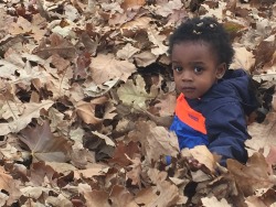 sh14nne:  cestpresqueparfait:  Thank goodness a pile of leaves was there to break this tiny angel’s fall.   @liquidswords- omg look
