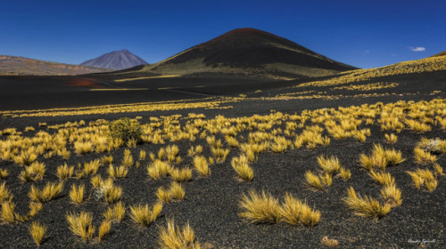 Photographer Claudio Spinelli (Argentina)  500px  Facebook  Twitter  National Geographic  1X 