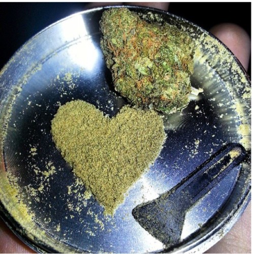 dutchiemag:  Photo by @stickypurplepotent: #marijuanaphotosubmission|#maryjaneinthebrain by marijuanapictures http://bit.ly/11RD2bB