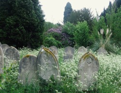 englishsnow:  Old Southampton Cemetery by dippy_duck 
