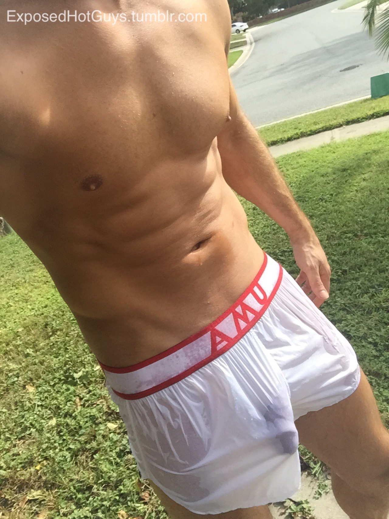 exposedhotguys:  My friends at AlphaMaleUndies.com sent me a pair of their nylon