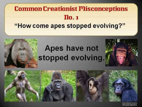 religion-is-a-mental-illness: Common Creationist Misconceptions No. 1-8.