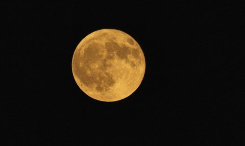 avocaedo:cool photos of the harvest moon 
