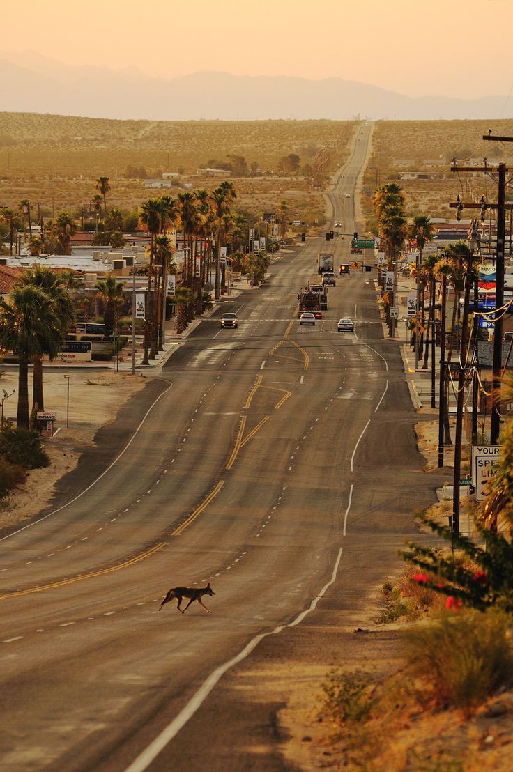 mostly-mojave:29 Palms, California. Mojave Desert, Highway 62. Photo by Martin Froyda