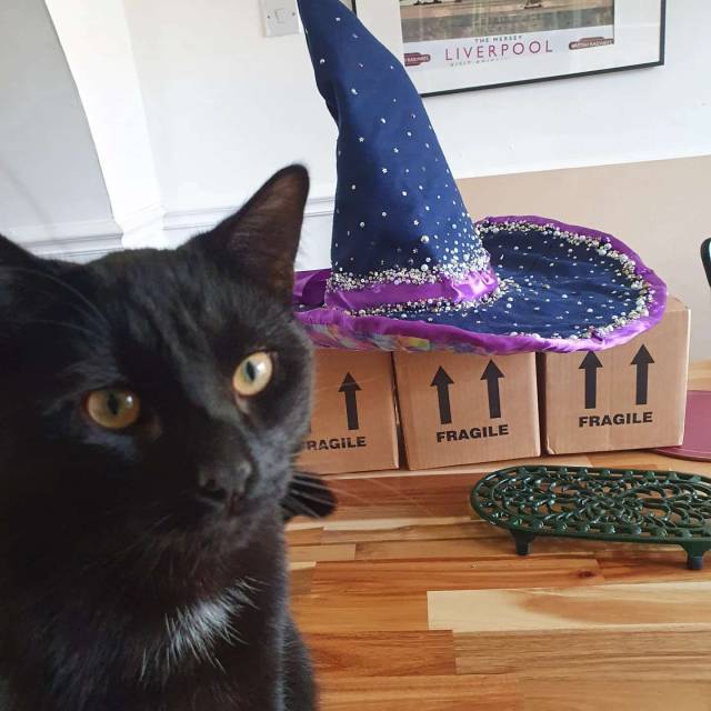 Last month I did this amazing wizard hat commission for a friend to aid with his orb pondering made with cardboard and 