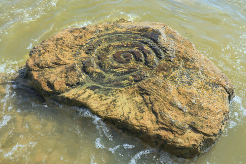 lychens: Montrose Spiral, Prehistoric Petroglyph 