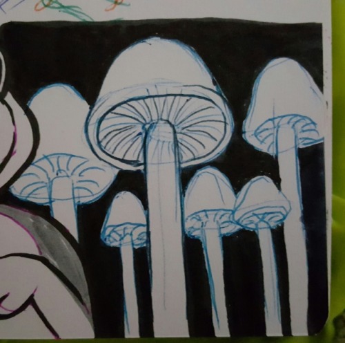 pipistrellus:There is a mushroom entity in Lake story so I’ve been drawing mushrooms in an attempt t