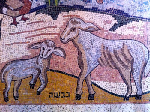 The Or Torah Synagogue in Akko, Israel is Tunisian, and decorated floor to wall to ceiling with beau