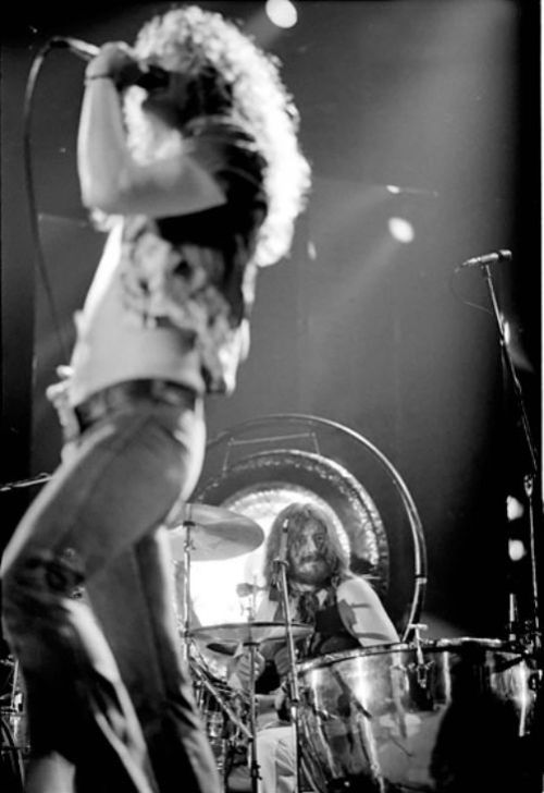 mymindlostmefan: Led Zeppelin