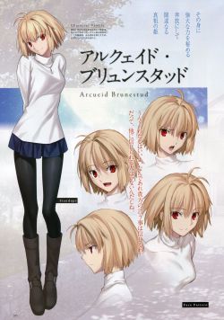 Type-Moon ACE Vol.10