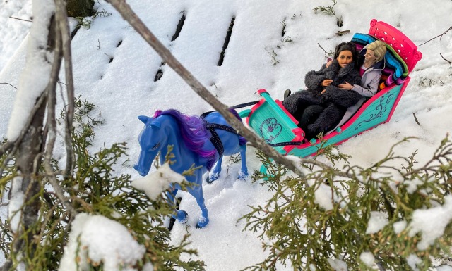 view from above, through branches, of a horse-drawn sleigh travelling over snow. thirteen and yaz are riding cuddled together.