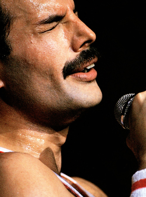 Close-up photo of Mercury singing live in... - Mercury & Queen
