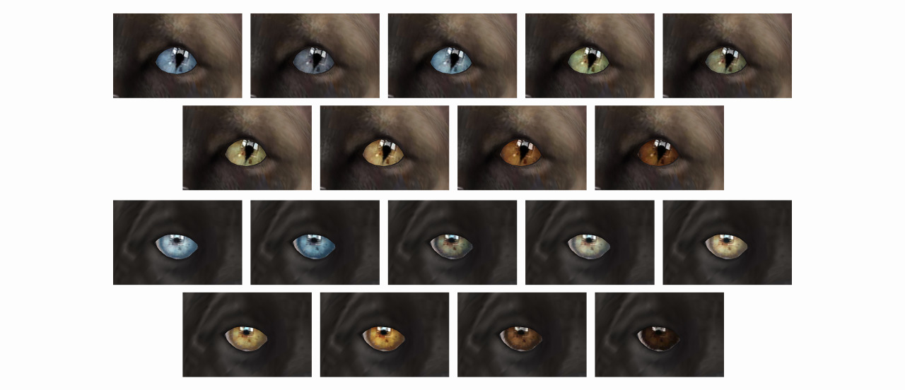 Cerberus SIMS 4. Ts4 Werewolf Eyes default. Doe Eyes. Spleppy Doe Eyes models. Eyes on me by asteria