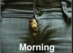 Big-King-Dingaling:  Morning Woody!