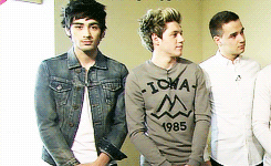  Zayn + Japan 