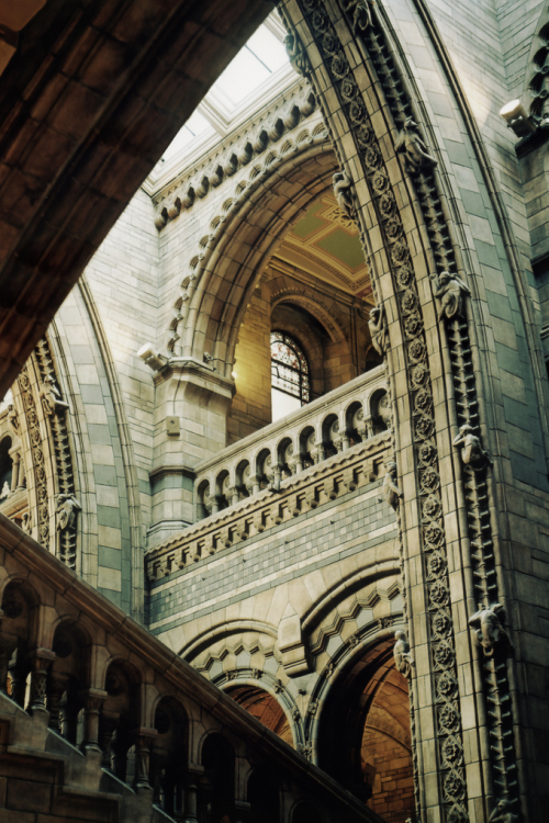 Natural History Museum, London