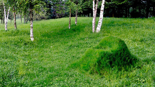 hyperspacial: homelimag: Grow Your Own Chair from Grass, Soil and a Cardboard Framework (via Ho