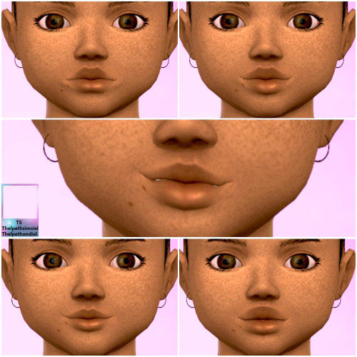 Ts4presets