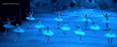 passionatedancing:   Nutcracker in a Nutshell [[click the gifs for captions]]  Bolshoi’s