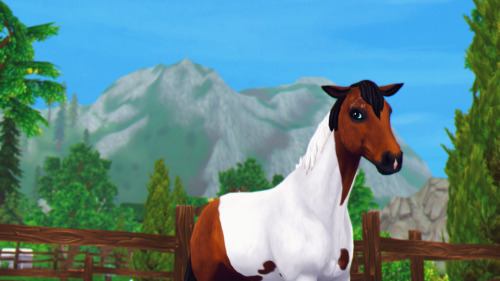 star stable