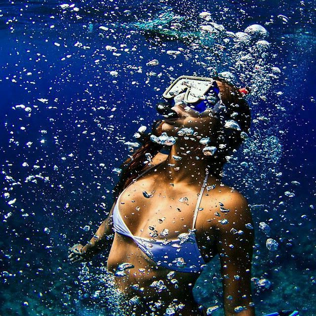 tropicaltidal:  tropical tidal 