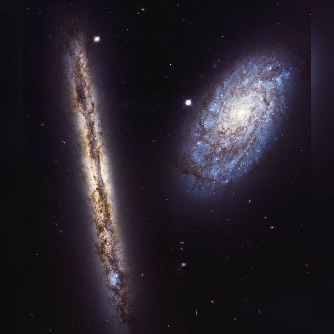 NGC 4302 and NGC 4298 #nasa #apod  #esa #stsci #spiralgalaxy #ngc4302 #constellation