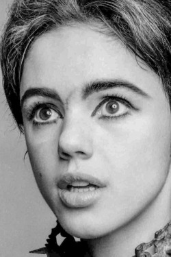 celebritycloseup:  edie sedgwick