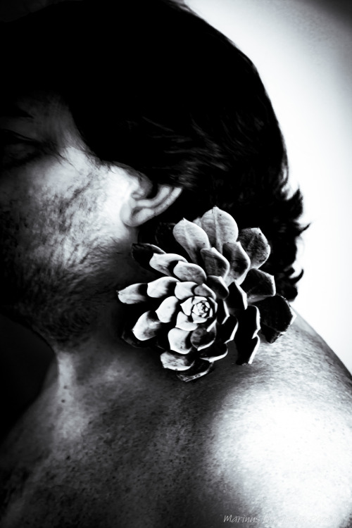 Male With Desert Rose On Shoulder... Image By Marinus Haakman Photos