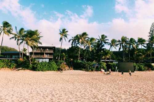 niccoolleeyy: Banzai, Pipeline.