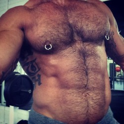 Nipple pigs - A blog focused on gay nippleplay