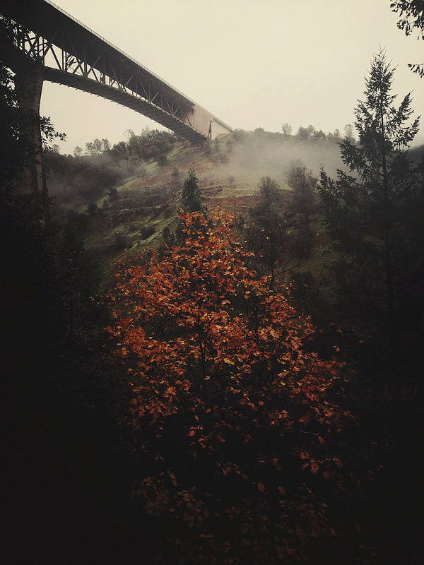 givncvrlos:  American River | Dan Otis 