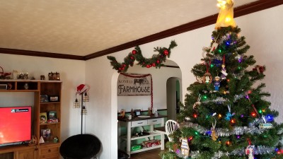katiiie-lynn:Finally finished decorating the house for Christmas today! 🥰🎄🎅🤶🎁@mossyoakmaster  As always looking amazing my love! We rocked it so far!! 
