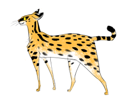 dailycatdrawings:  710: Savannah CatGuess