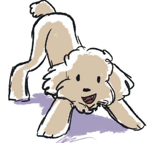i love my dog a lot