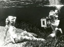 solo-vintage:  Bruce Mozert invented the world’s first underwater camera, and it was at Silver Springs, Florida where he would put his invention to renowned use.