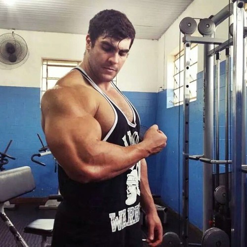 muscletale:  Felipe Mattos 